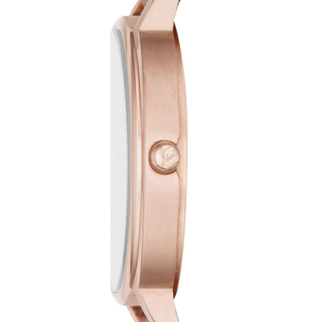 Emporio Armani AR11114 Fashion Women's Watch