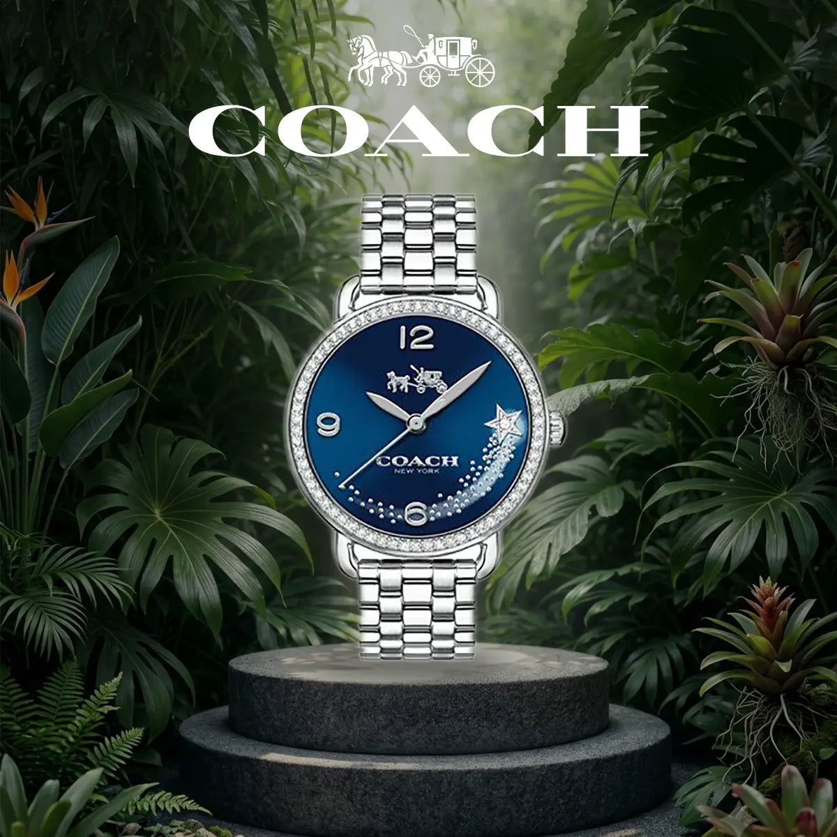 Acics Watch The Best Watch Store Online - Watch Aces – WATCH ACES