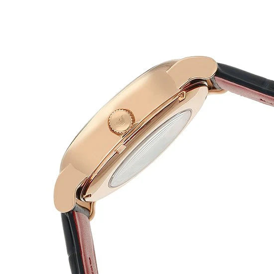 Emporio Armani AR60009 Men's Watch