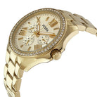 Fossil AM4482 Cecile Women's Watch