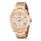 Fossil AM4511 Cecile Rose Gold-tone Dial Women's Watch