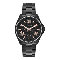 Fossil AM4522 Cecile Multi-Function Women's Watch