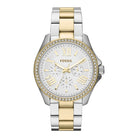 Fossil AM4543 Cecile Silver Dial Two-tone Women's Watch