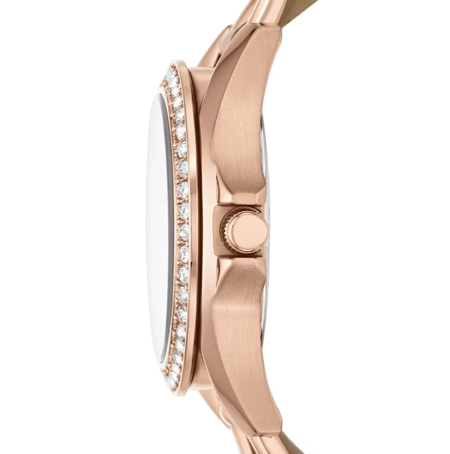 Fossil ES3466 Riley Multi-function Women's Watch